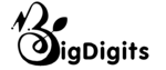 BigDigits-Logo-2 (1)